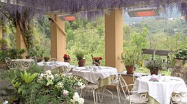 Hotels & Restaurants